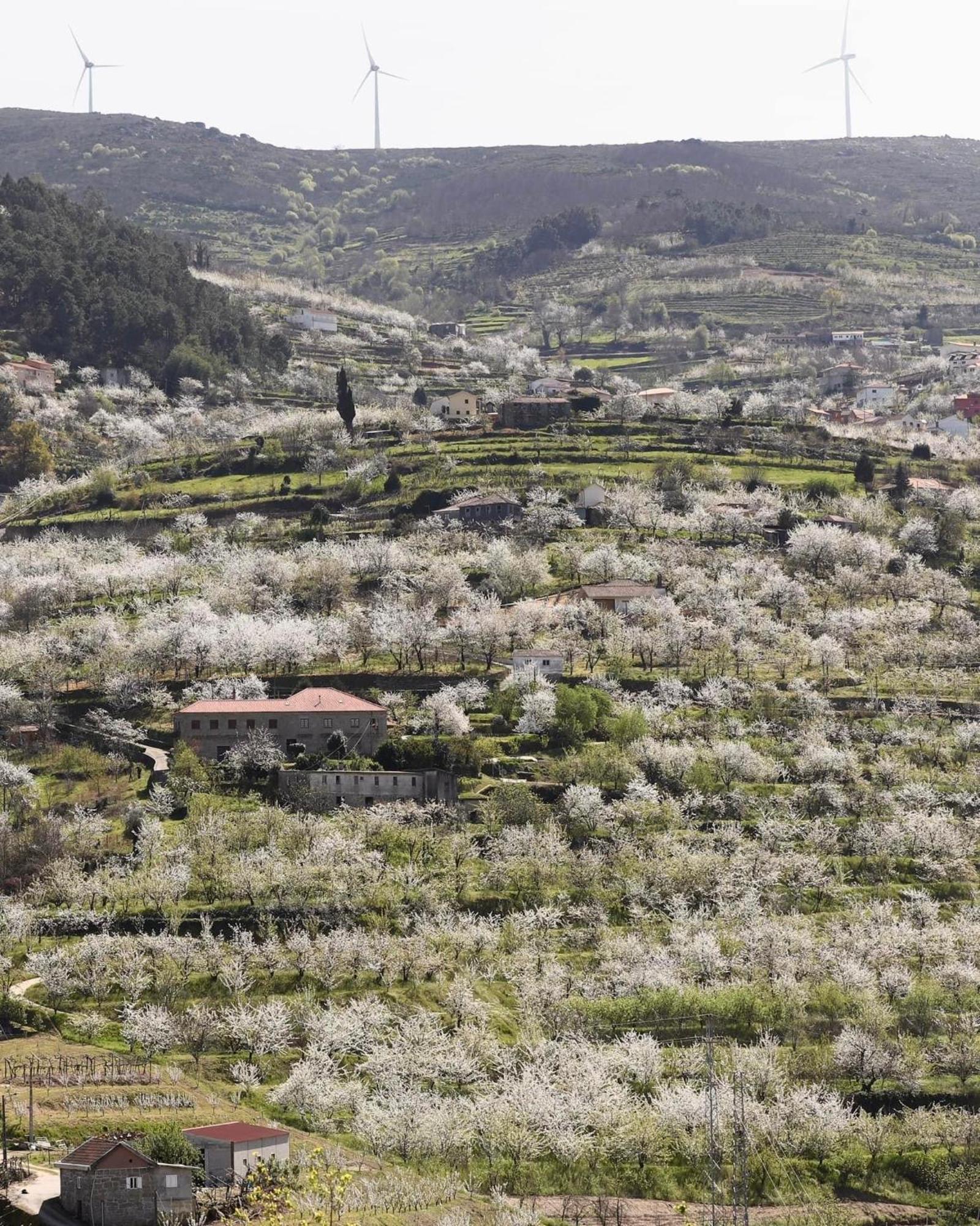 Вілла Quinta Do Sonho Резенде Екстер'єр фото