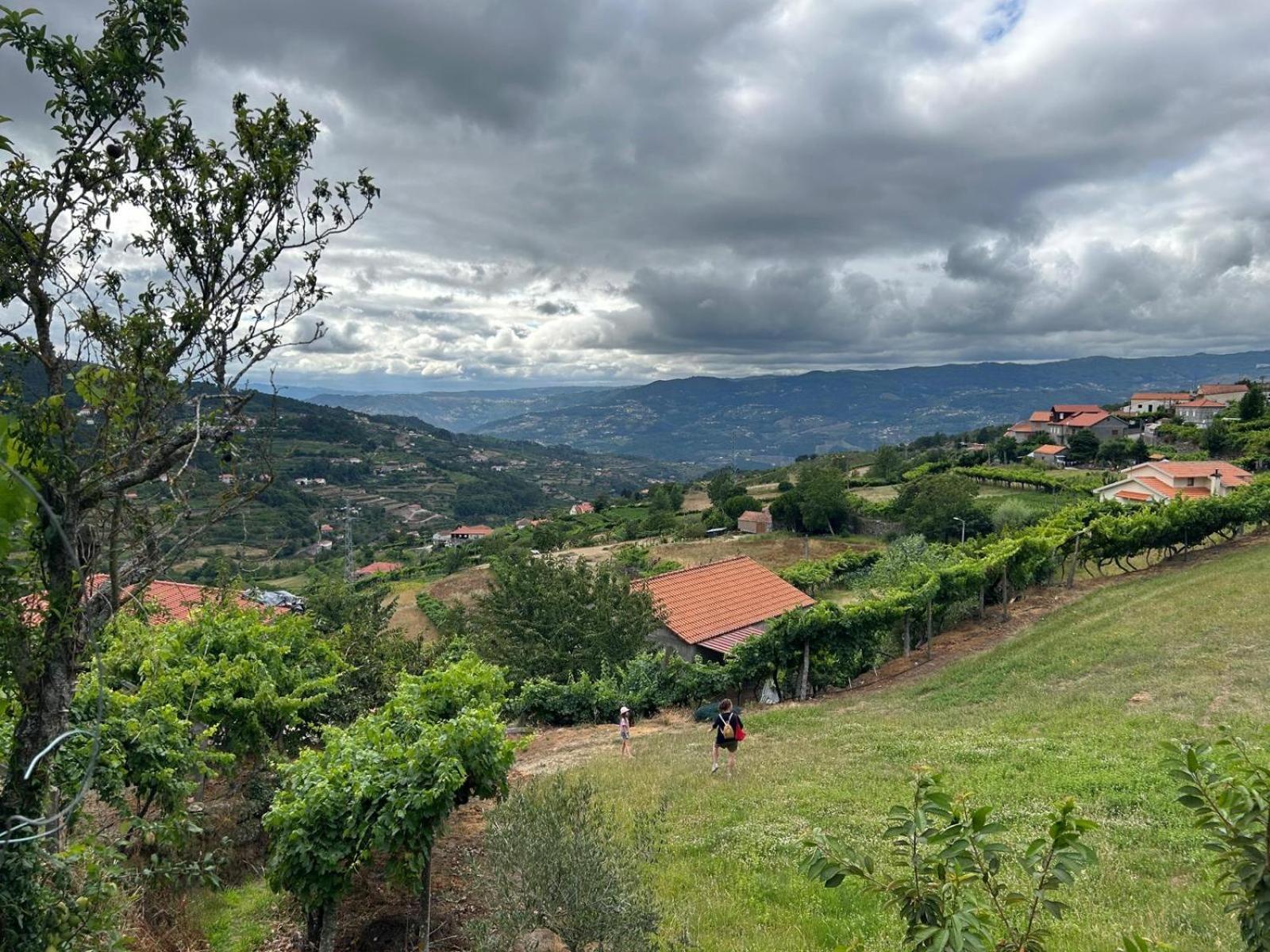 Вілла Quinta Do Sonho Резенде Екстер'єр фото